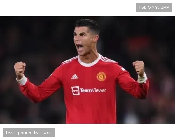 努涅斯的战术适配困境与终结效率瓶颈解析